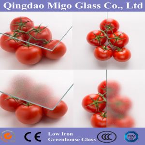 Diffuse Glass untuk Greenhouse